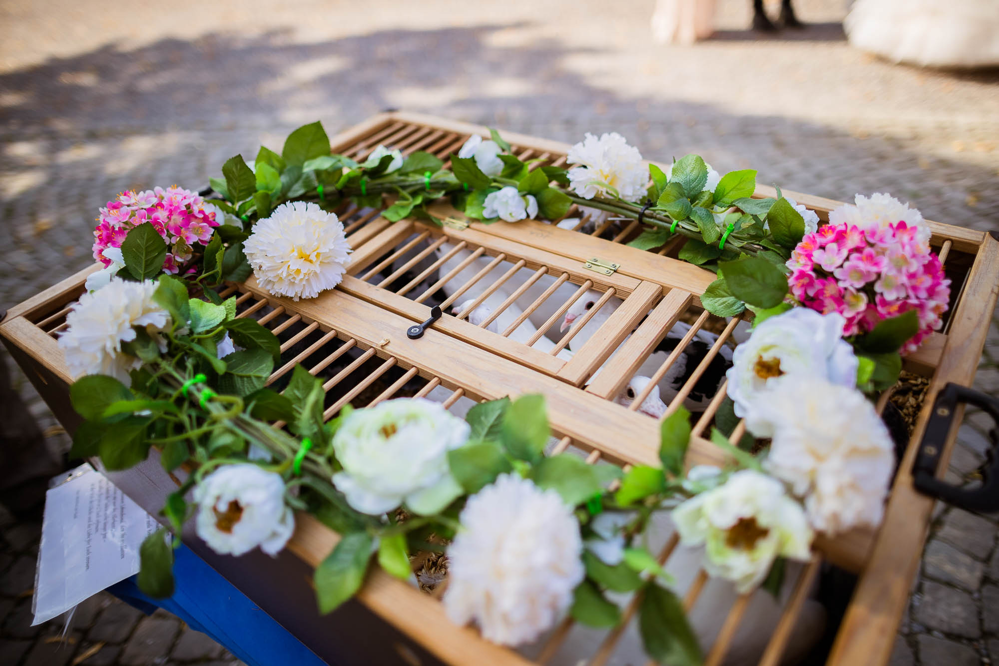 Export x3 1DX23050 Hochzeit 2020 Muriel & Trevor